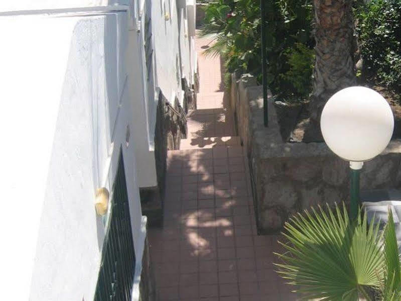 Apartamentos Laguna Puerto Rico  Luaran gambar